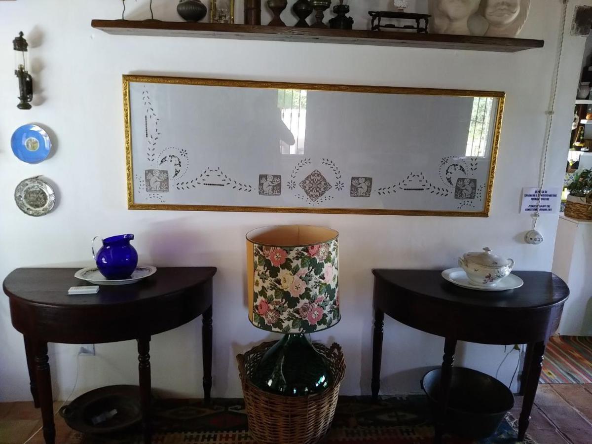 Il Corbezzolo Suite Appartament Castelluzzo Zewnętrze zdjęcie