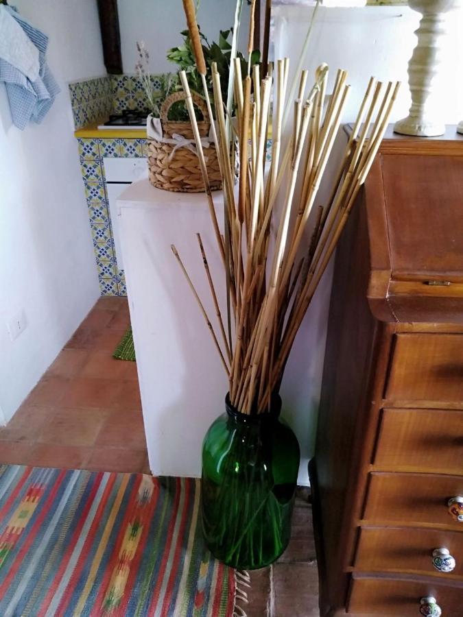 Il Corbezzolo Suite Appartament Castelluzzo Zewnętrze zdjęcie