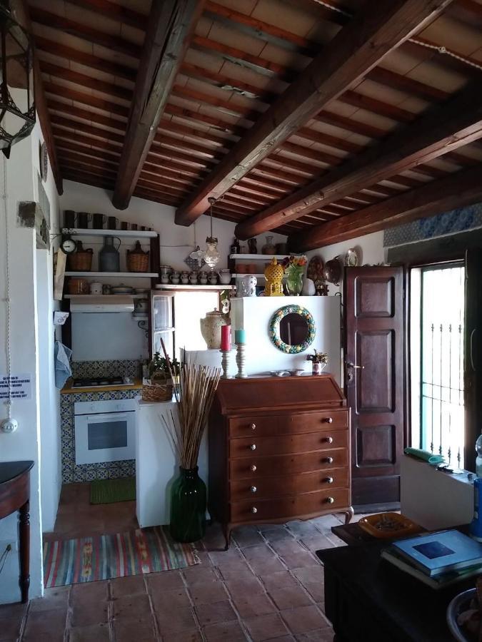 Il Corbezzolo Suite Appartament Castelluzzo Zewnętrze zdjęcie